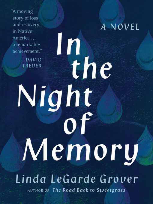 Cover image for In the Night of Memory: a Novel